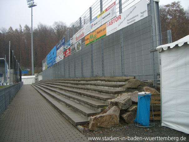 Dietmar-Hopp-Stadion, Sinsheim