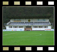 Badwaldstadion, Zell am Harmersbach