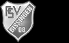 FSV 08 Bissingen