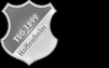 TSG 1899 Hoffenheim