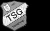 TSG Steinheim 1892