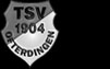 TSV Ofterdingen