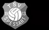 TSV 1913 Spessart