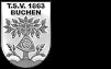 TSV 1863 Buchen