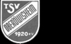 TSV Oberöwisheim 1920