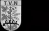 TV Nebringen 1924