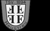 TSV 1894 Heustreu