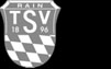 TSV 1896 Rain am Lech