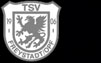 TSV 1906 Freystadt