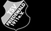 TSV Friedewald 1911