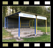 Salzgitter, Waldstadion Hallendorf