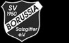 SV Borussia Salzgitter