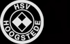 SV Hoogstede