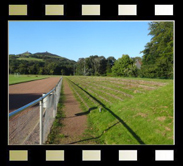 Gelsenkirchen, Sportanlage Braukämperstraße