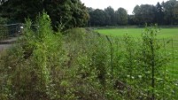 Stadion am Hermann-Löns-Weg, Solingen (Nordrhein-Westfalen)