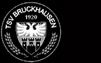 TSV 1920 Bruckhausen