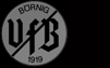 VfB Börnig 1919