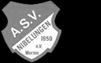 ASV Nibelungen Worms 1950