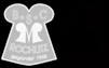 BSC Motor Rochlitz
