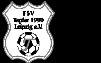 FSV Tapfer 1990 Leipzig