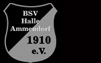 BSV Halle-Ammendorf 1910