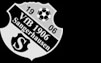 VfB 1906 Sangerhausen