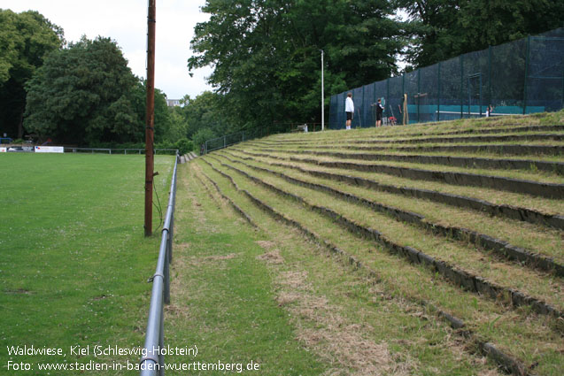 Waldwiese, Kiel