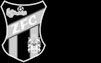Zipsendorfer FC Meuselwitz