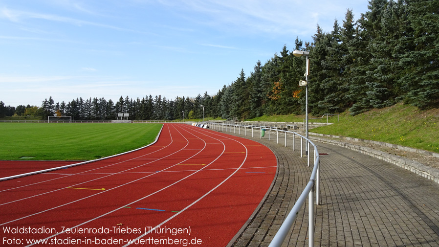 Zeulenroda-Triebes, Waldstadion