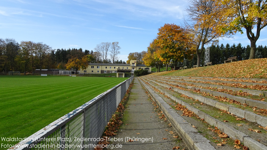 Zeulenroda-Triebes, Waldstadion (unterer Platz)